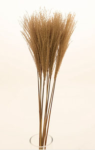 NATURAL FEATHER PAMPAS BUNCH