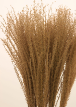 Load image into Gallery viewer, NATURAL FEATHER PAMPAS BUNCH
